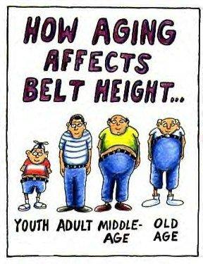 Aging Affects Belt Height Belthe10