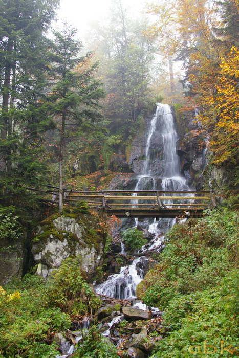 La Cascade du Hohwald - Page 2 Imgp2510