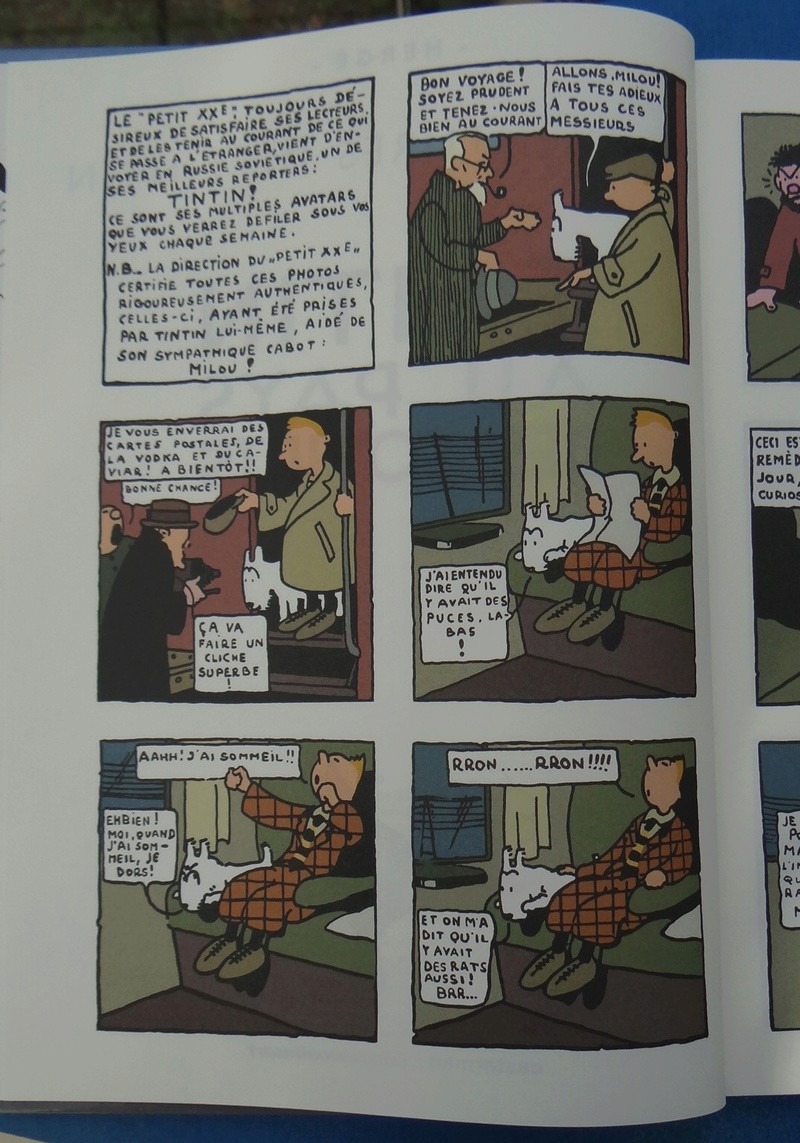 La grande histoire des aventures de Tintin. - Page 38 Dsc03528