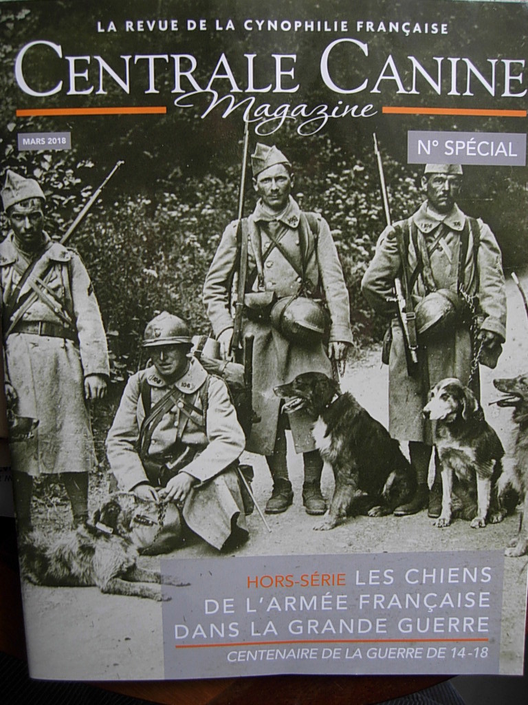 Chiens de guerre Dscn1611