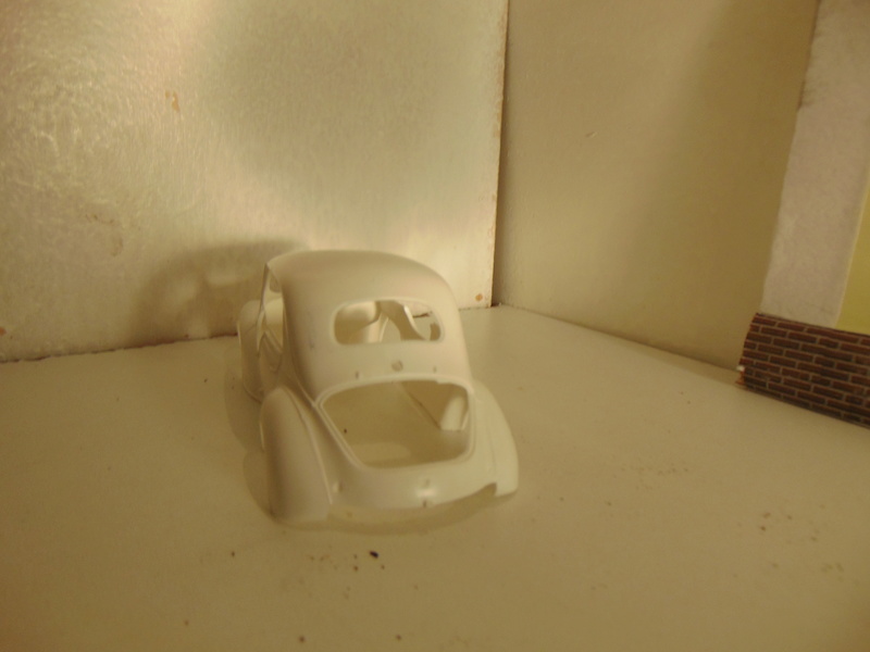 cot et cot (cot-cot)... ou mes histoires de pies Dsc07615