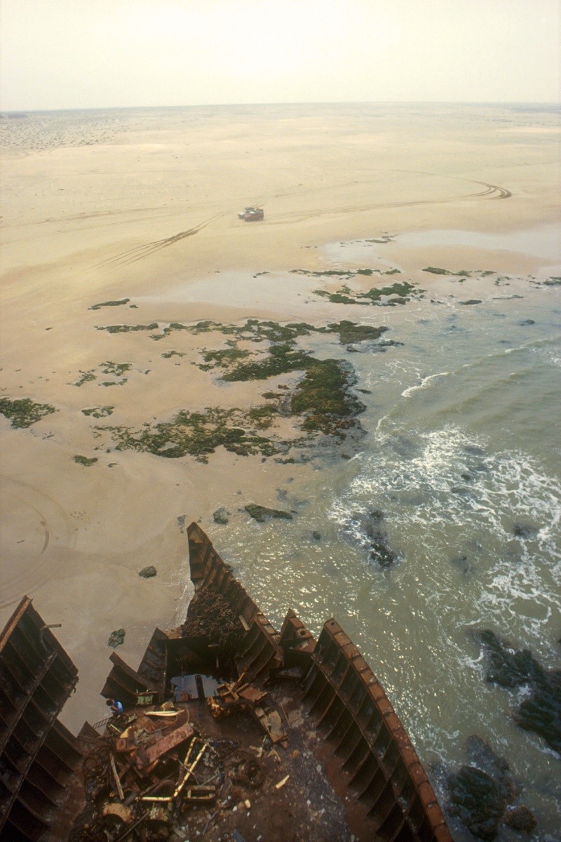 D'EL OUATIA (Tantan plage) à TARFAYA (proche de Laâyoune) - Page 2 11934910