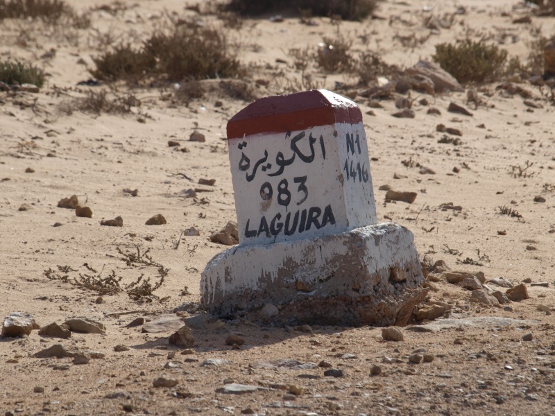 D'EL OUATIA (Tantan plage) à TARFAYA (proche de Laâyoune) P1011123