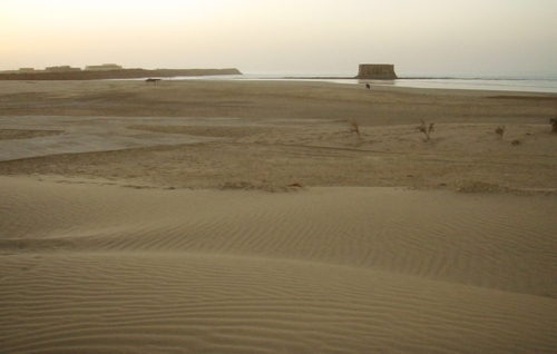 D'EL OUATIA (Tantan plage) à TARFAYA (proche de Laâyoune) - Page 2 P1882710