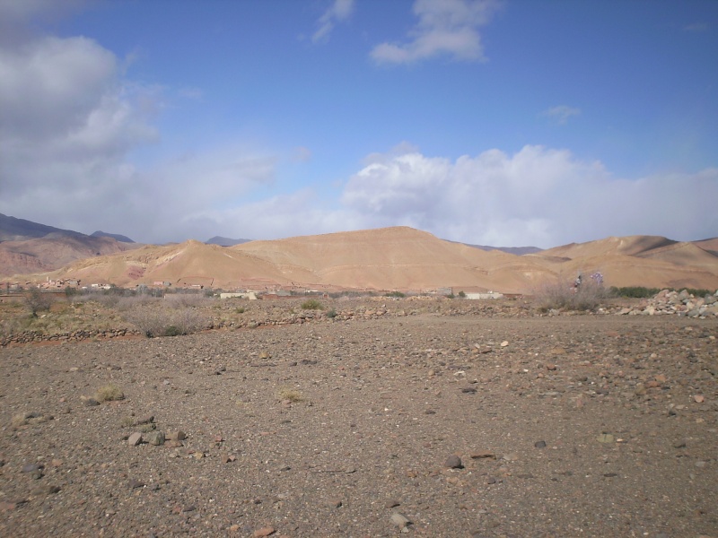 OUARZAZATE, TOUNDOUTE, AÏT BENHADOU, DADES... - Page 6 Pict0192