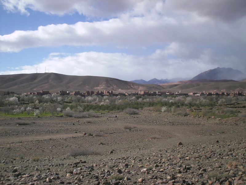 OUARZAZATE, TOUNDOUTE, AÏT BENHADOU, DADES... - Page 6 Pict0195