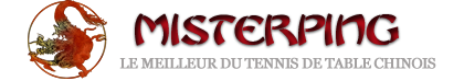 logo misterping Logo10
