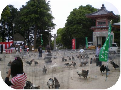 Un petit tour au Japon.....  Expo_a12