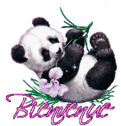 Présentation de Yume Pandab10