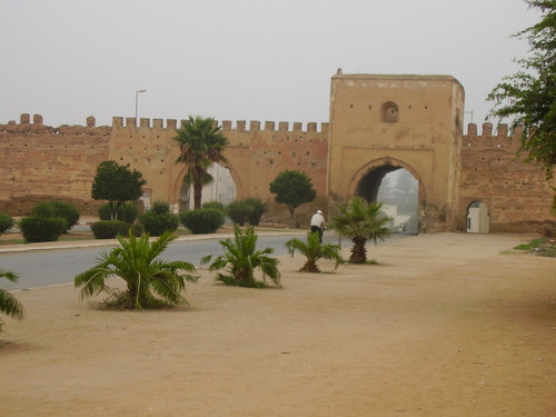 Meknès, la Ville Ancienne et les 2 Mellahs - 3 - Page 11 Bab_ed10