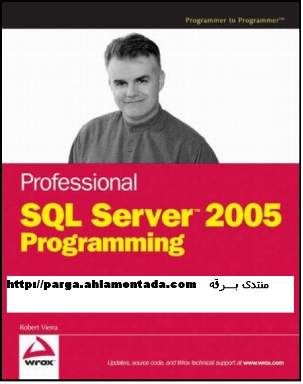 Microsoft  SQL Server 2008 4_bmp11