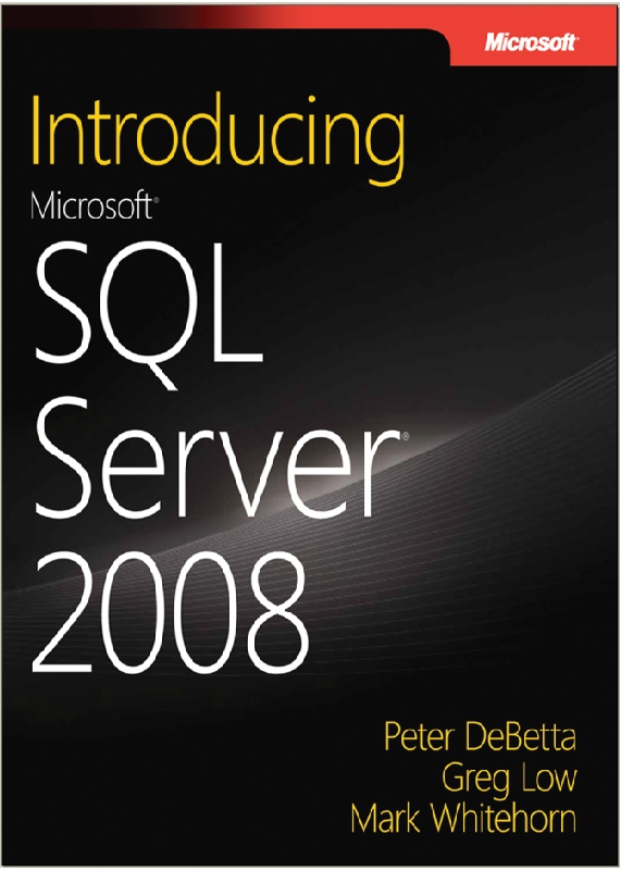 Microsoft  SQL Server 2008 6_bmp10