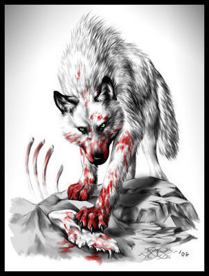 الذئب .... من أشرس واجمل الحيوانات Image030