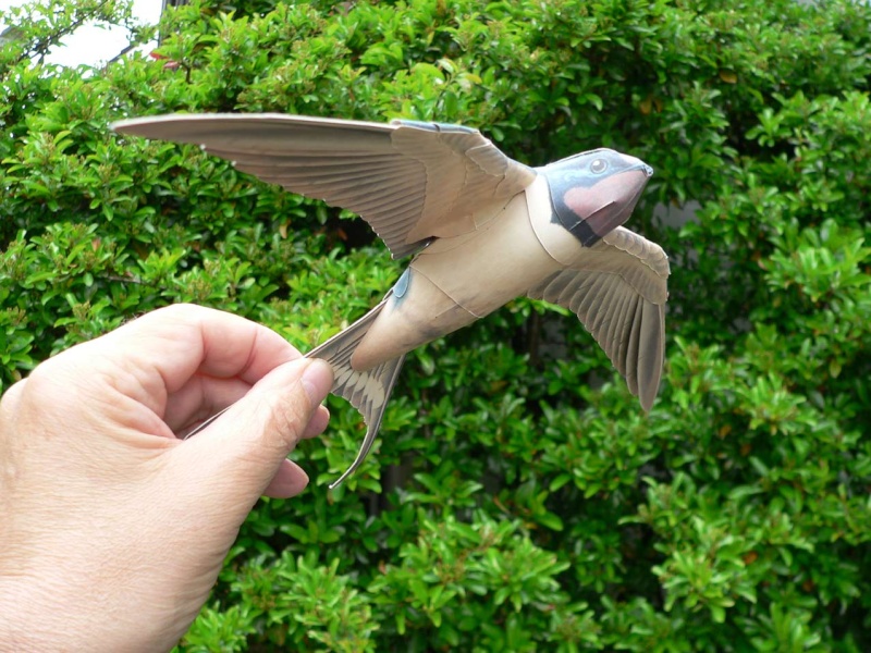 Meine Sammlung von BirdMobilen Rauchs11