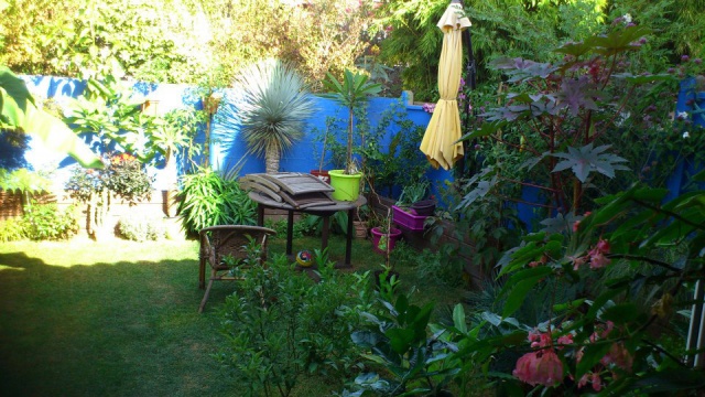 Mon petit jardin Bordelais 61044710