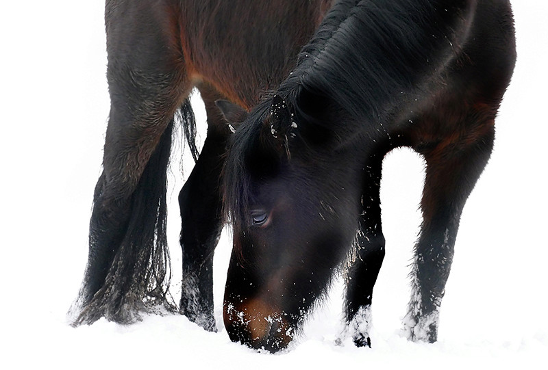 dans la neige Voisin12