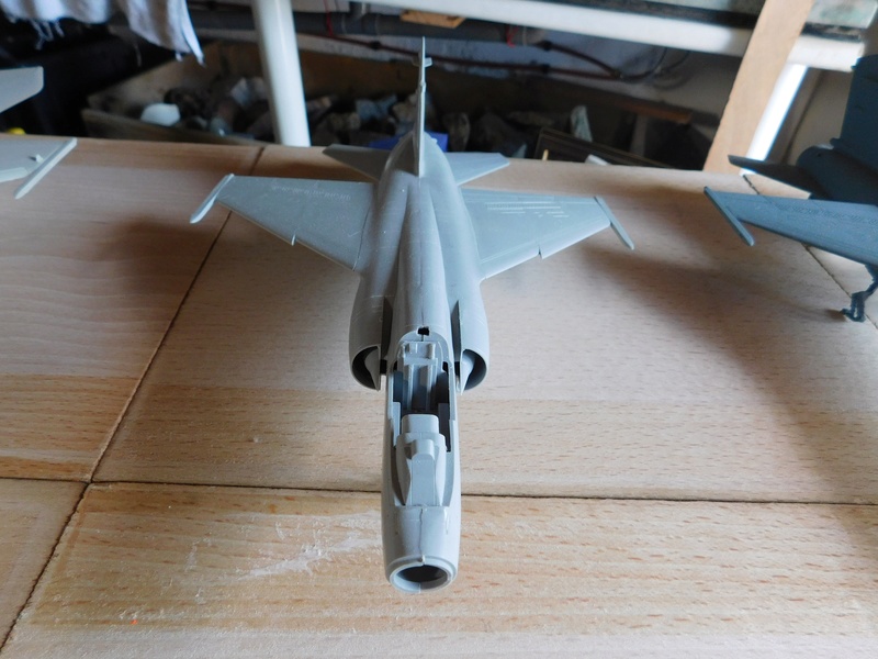 1/72 - Mirage F1 - Special hobby, Heller  Dscn1756