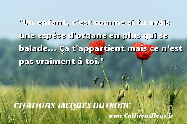 La citation du jour - Page 13 10530210