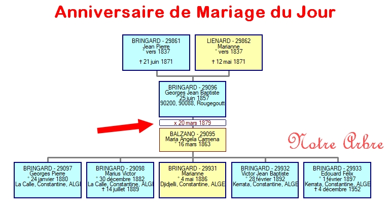 03 NOTRE ARBRE : Mariages de MARS - Page 2 2018_272