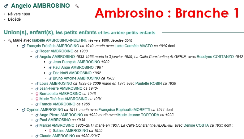 Famille AMBROSINO - Page 2 Ambros17