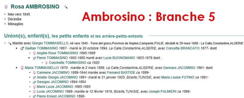 Famille AMBROSINO - Page 2 Ambros21