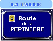 Route de la PEPINIERE : Opération recensement Route_10