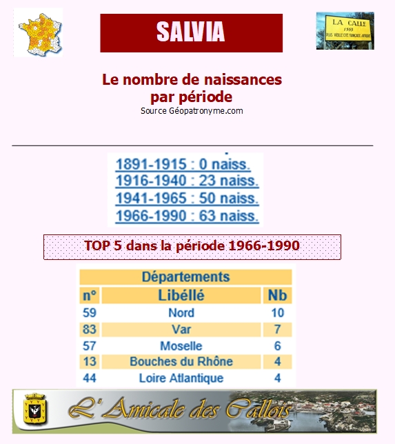 Famille SALVIA Salvia11