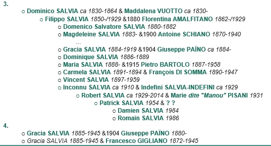 Famille SALVIA Salvia14