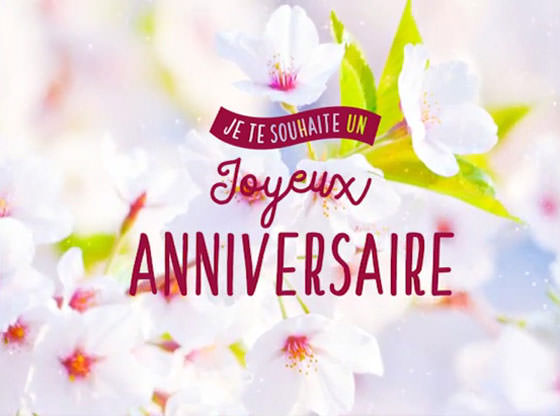 Anniversaire Choupette