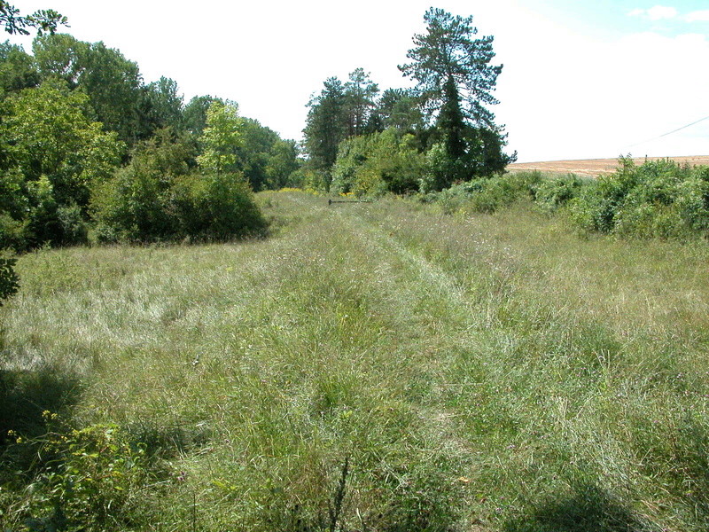 Chasse à Montigny s/ Loing 3 Dscn1910