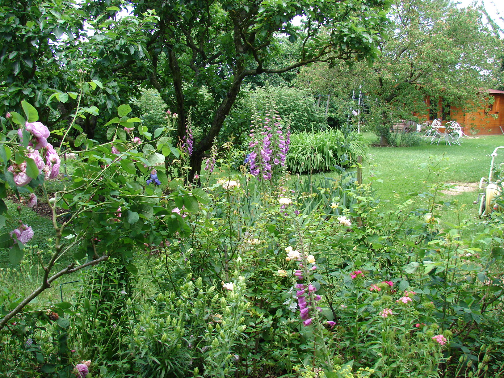 Au jardin fleuri d'Odile - Page 17 Dsc01516