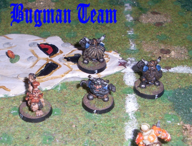 Les photos et les logos de vos équipes Bugman10