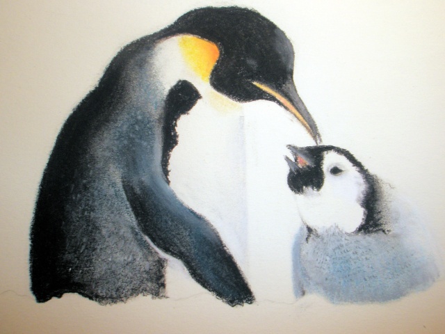 Pingouins P5200611