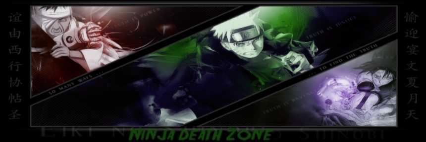 Ninja Deathzone I_logo10