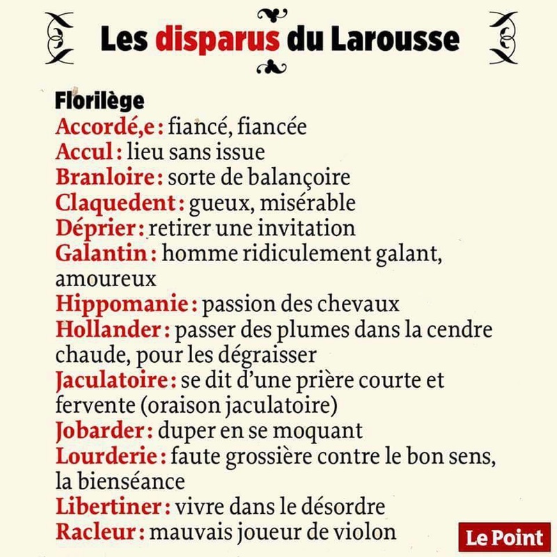 La langue Française : Le mot "dégun" fait désormais partie du dictionnaire Larous10