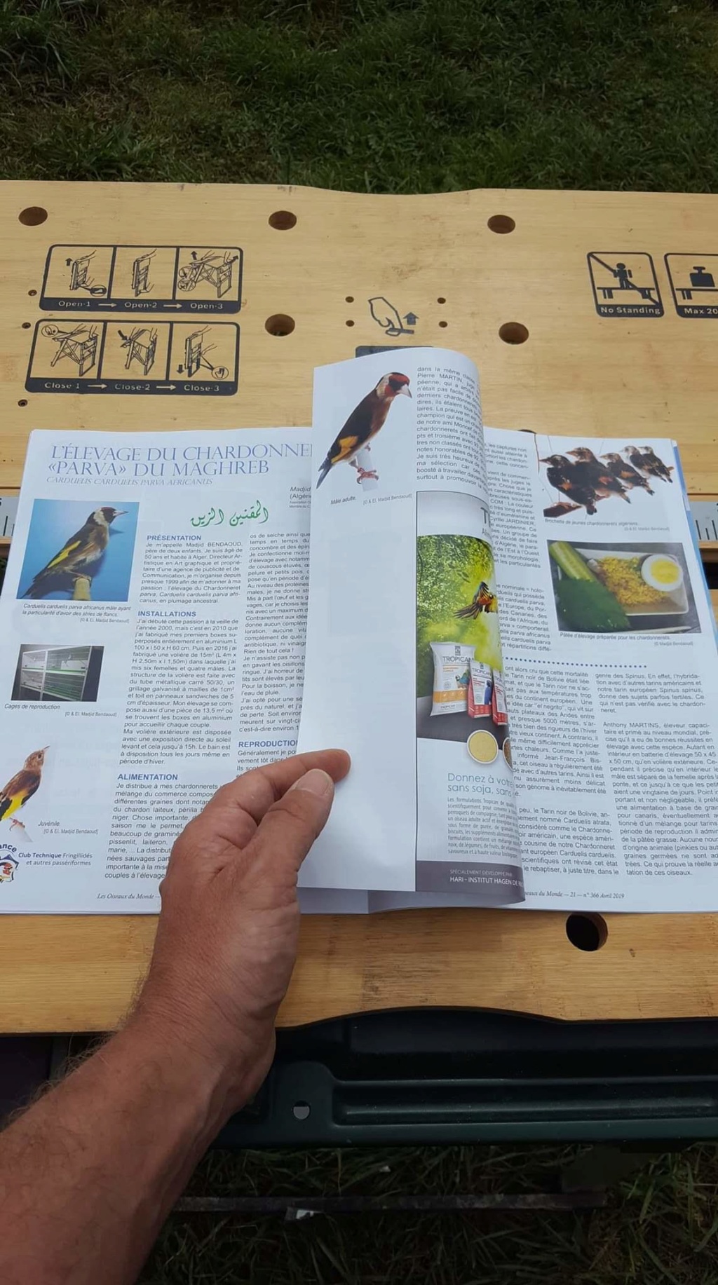 Mon article sur Les Oiseaux Du Monde ( UOF) expérience d'élevage Parva  Fb_img16