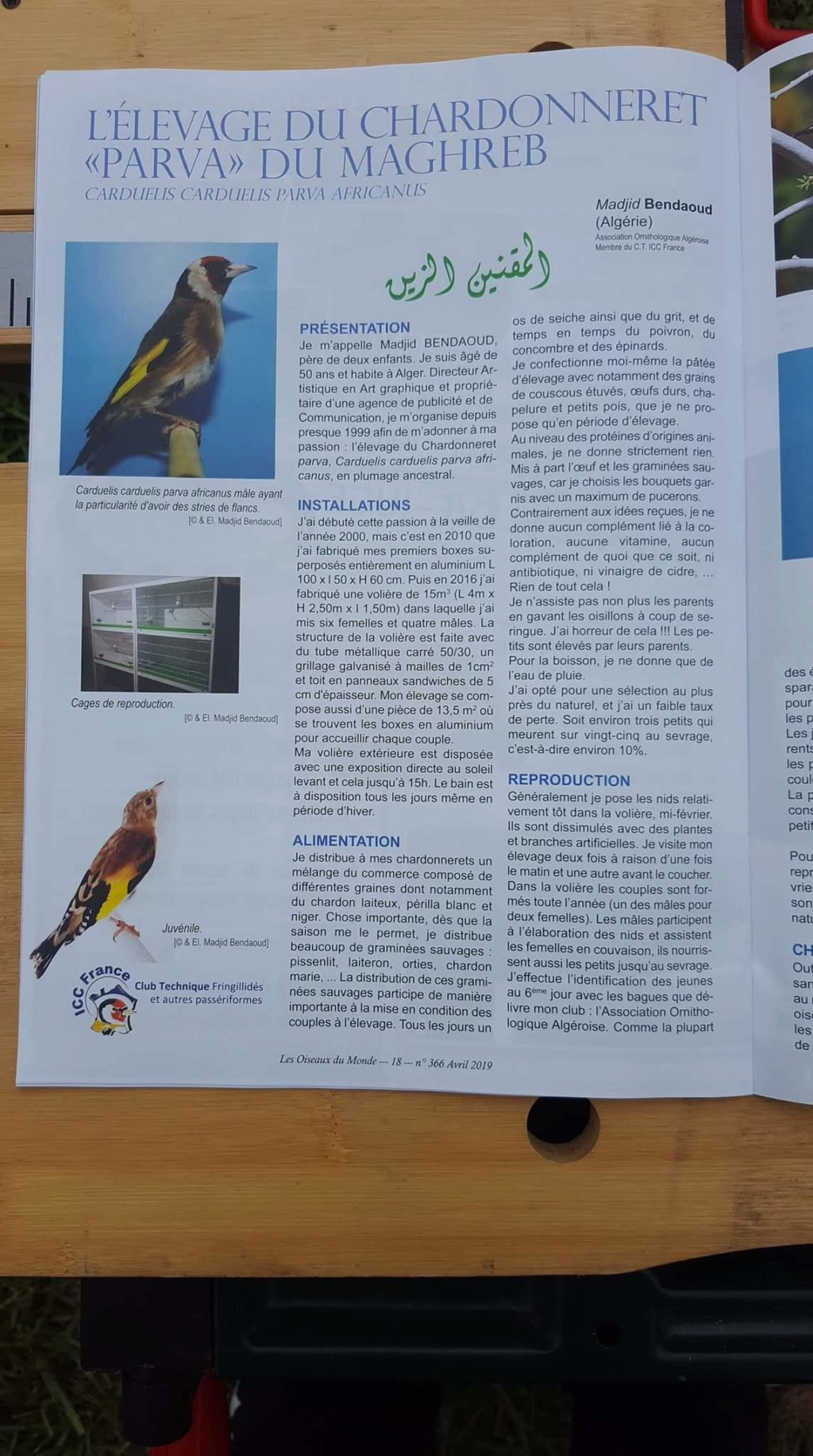 Mon article sur Les Oiseaux Du Monde ( UOF) expérience d'élevage Parva  Fb_img19