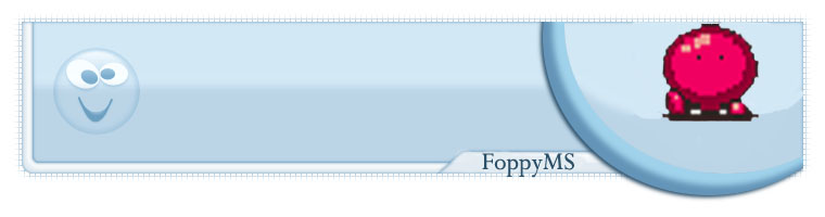 FoppyMS