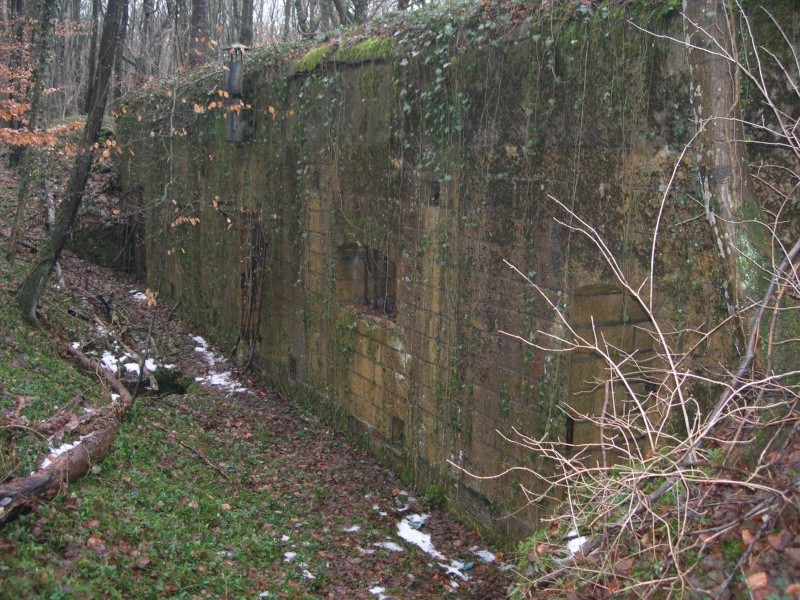 fortifications allemandes autour de metz. Dscn0838