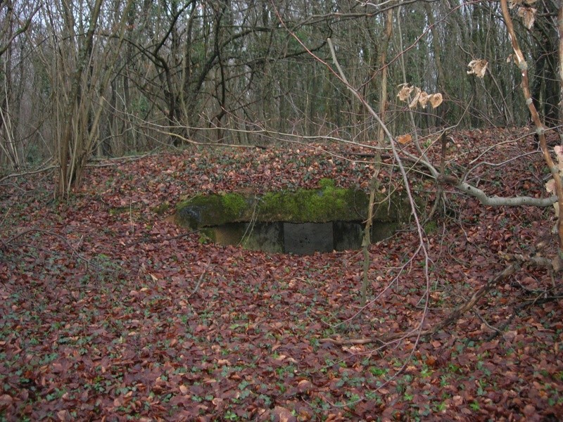 fortifications allemandes autour de metz. Dscn0912