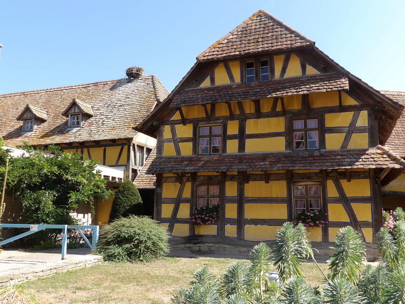 Sortie Alsace entre plaine et vallée le 5/6 Mai 2018 Imgp0010