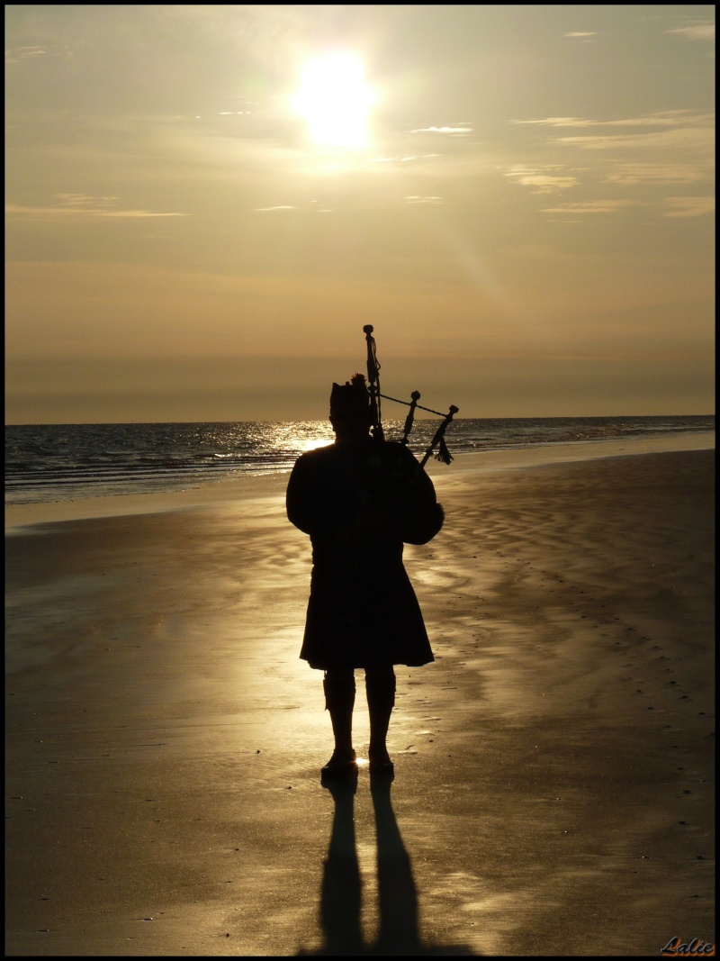 Piper on the beach P1080812