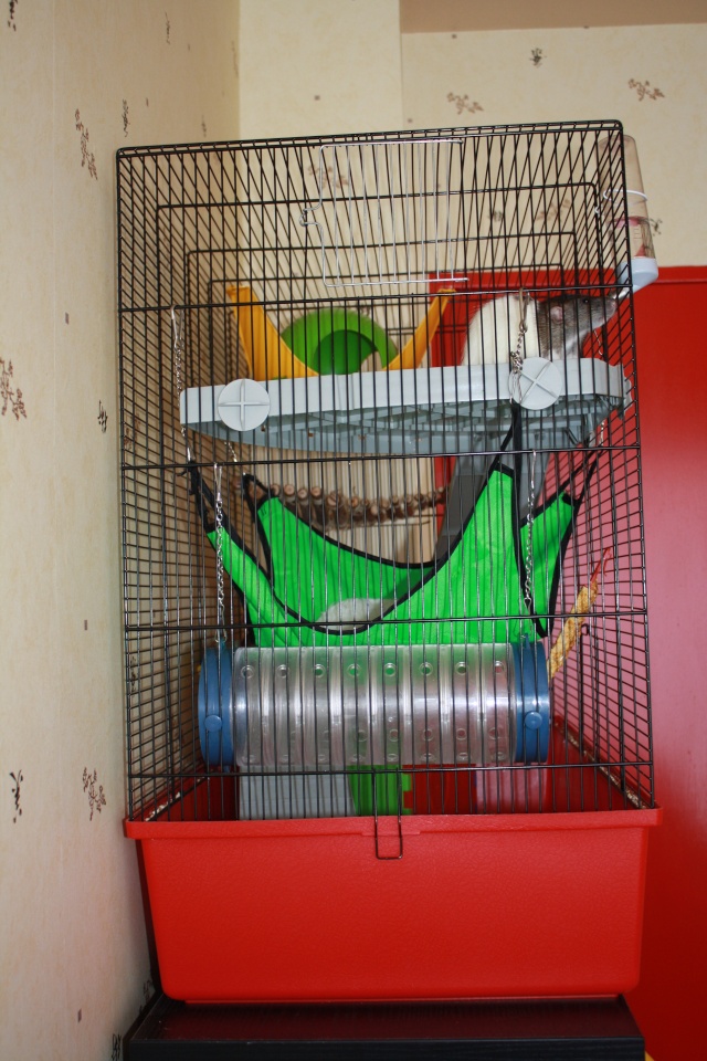 Ma cage Img_4411