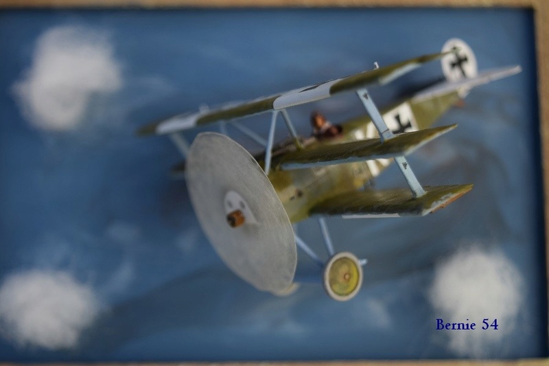 de chez EDUARD FOKKER Dr I Dual au 1/72 Dsc_0091