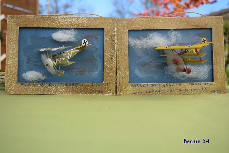 de chez EDUARD FOKKER Dr I Dual au 1/72 Dsc_0094