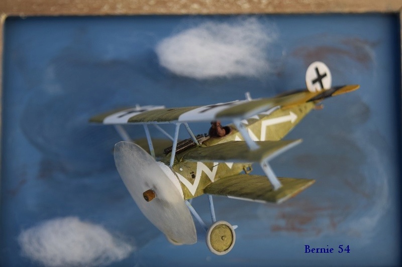 de chez EDUARD FOKKER Dr I Dual au 1/72 Dsc_0096