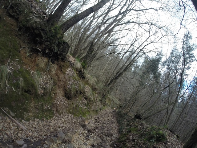 Ruta Asturias Whatsa14