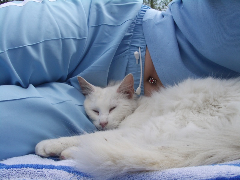 Boubou(Ex "Perce neige") 15-04-10
