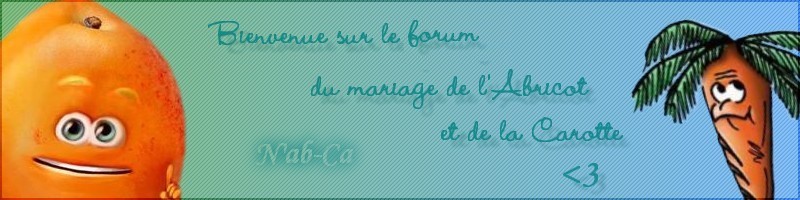 Mariage Nab & Ca