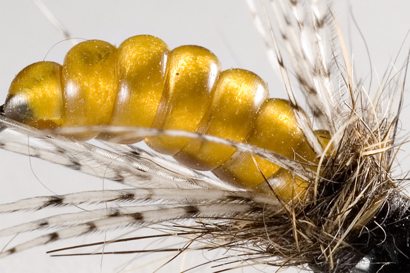 Summer caddis pupa (Pupe de vara - Lucian Vasies ) - Page 2 Crop110